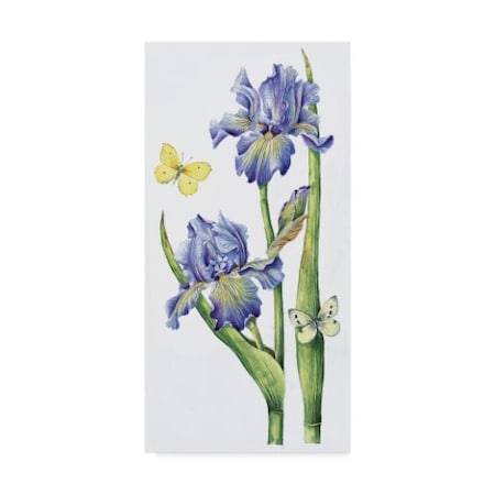 Janneke Brinkman-Salentijn 'May Iris' Canvas Art,10x19